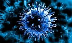 شیوع آنفلوانزا در این استان از حد هشدار گذشت