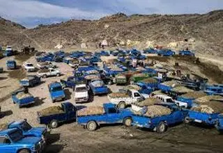 ردپای 200 قاچاقچی در یک پمپ‌بنزین 