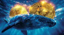 جابجایی ۴۱ میلیون دلار بیت‌کوین توسط یک نهنگ پس از ۱۲ سال!