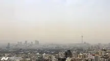 دروغ است، آرسنیک و سیانور ندارد