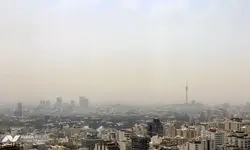دروغ است، آرسنیک و سیانور ندارد