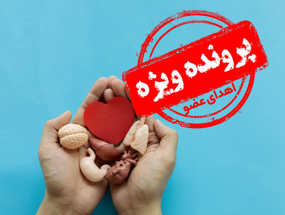 وقتی نفس هدیه میدهیم