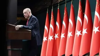 فصل میوه چینی اردوغان 