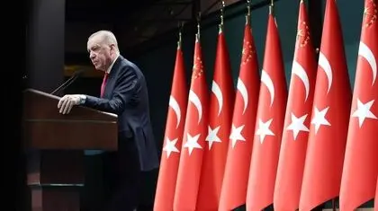فصل میوه چینی اردوغان 
