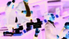 تندروها؛ این بار علیه پیوستن CFT