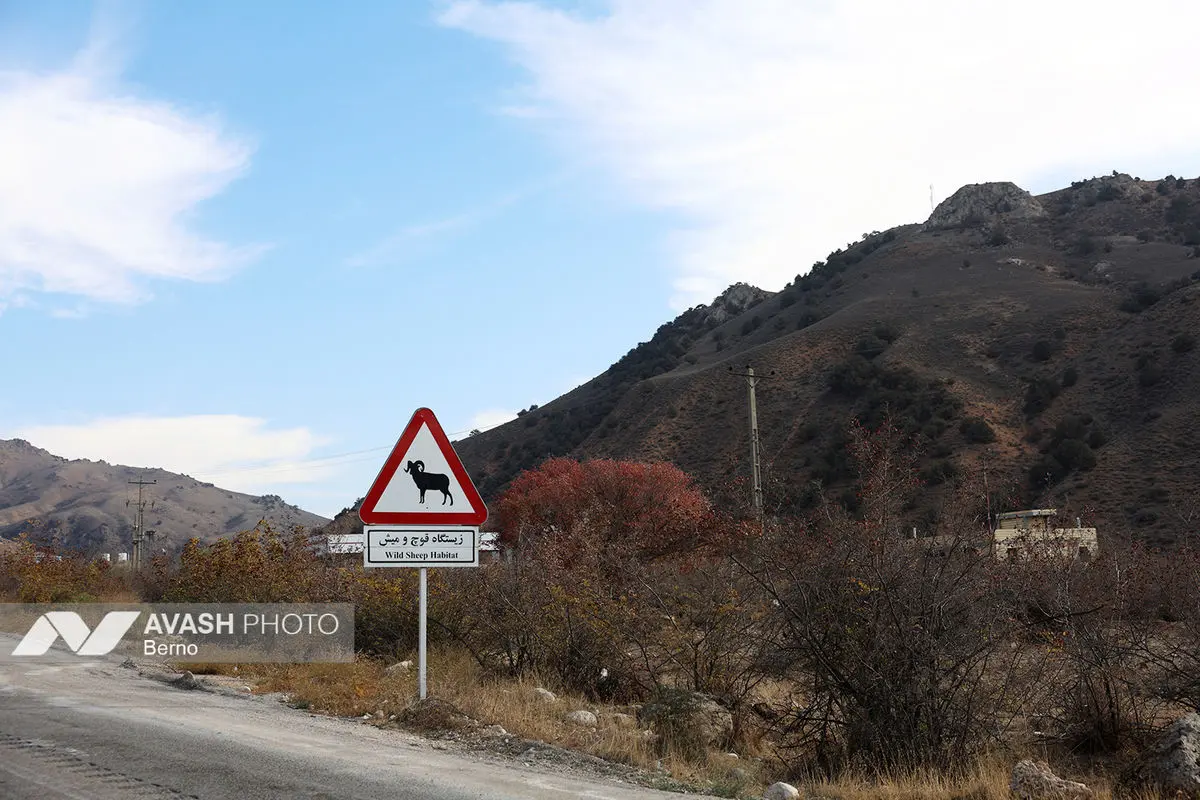 سرشماری پاییزه پارک ملی گلستان