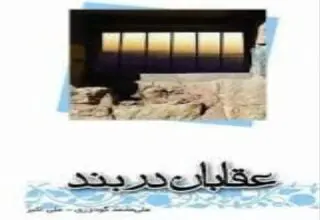 انتشار کتاب صوتی «عقابان دربند» شامل مجموعه خاطرات خلبانان 