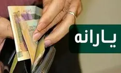 شاخص سخت گیرانه برای حذف یارانه بگیران جنجالی شد