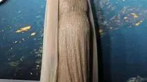 بازیگر مشهور از تجربه سخت افسردگی پس از زایمان گفت
