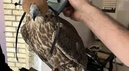 سرقت شبانه از کلینیک پردیسان +عکس 