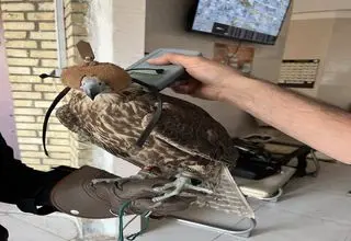 سرقت شبانه از کلینیک پردیسان +عکس 