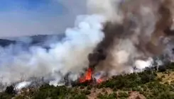 آتش‌سوزی در انبار سورتینگ مرکبات ساری