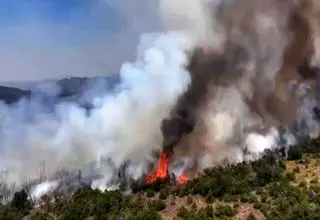 آتش‌سوزی در انبار سورتینگ مرکبات ساری