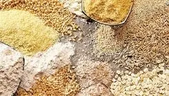 مرغ هست، نهاده نیست/آمارها چرا محرمانه‌اند؟