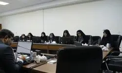 بررسی طرح موسوم به مهریه در نشست مشترک فراکسیون زنان مجلس با سخنگوی شورای نگهبان