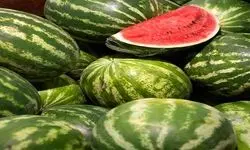 نیترات هندوانه ایرانی کمتر از ۱۰ میلی‌گرم بر کیلوگرم است 