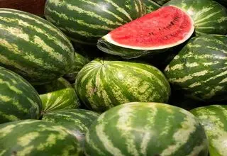 نیترات هندوانه ایرانی کمتر از ۱۰ میلی‌گرم بر کیلوگرم است 