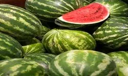 نیترات هندوانه ایرانی کمتر از ۱۰ میلی‌گرم بر کیلوگرم است 