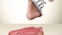 کار بزرگ کره‌جنوبی؛ ساخت بینی مصنوعی