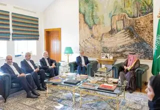 تعدادی از نمایندگان مجلس با مقام عربستانی دیدار کردند