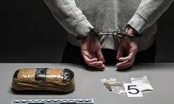 کشور موفقی در حوزه درمان اعتیاد نیستیم/ سن اعتیاد پایین آمده است 