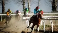 5 کاندیدای نهایی ریاست فدراسیون سوارکاری