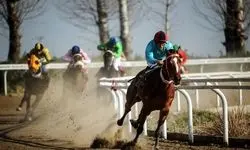 5 کاندیدای نهایی ریاست فدراسیون سوارکاری