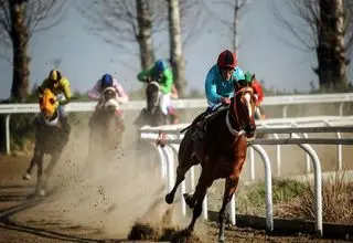 5 کاندیدای نهایی ریاست فدراسیون سوارکاری