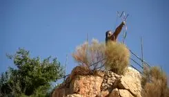 نگاهی به دو مستند درباره ایران این روزها/ مرثیه‌ای برای یک شهر