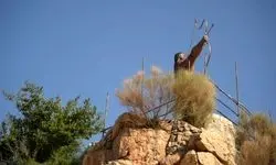 نگاهی به دو مستند درباره ایران این روزها/ مرثیه‌ای برای یک شهر