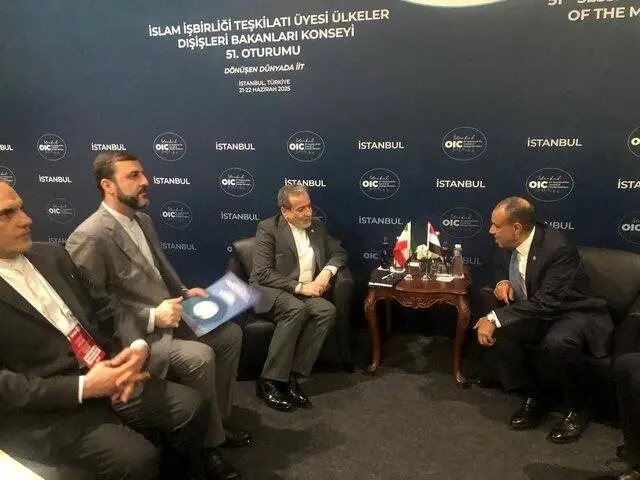 تمجید عراقچی از نقش سازنده مصر در محکومیت جمعی جنایات رژیم صهیونیستی