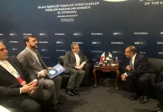 تمجید عراقچی از نقش سازنده مصر در محکومیت جمعی جنایات رژیم صهیونیستی 