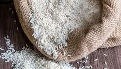 هدررفت ۱۸ میلیون مترمکعب آب برای برنج‌های دورریز شده