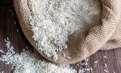 هدررفت ۱۸ میلیون مترمکعب آب برای برنج‌های دورریز شده