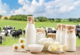 شیر چاق‌کننده است؟
