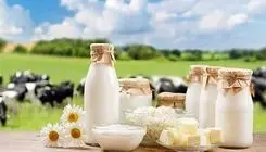 شیر چاق‌کننده است؟