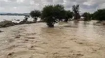 سیل گسترده در ولز پس از بارش‌های طولانی مدت + فیلم