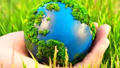 پشت پرده انتقال مرجعیت کنوانسیون تنوع زیستی چیست؟