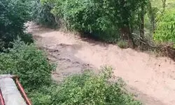 باران تابستانی مازندران را غافلگیر کرد؛ گستره سیل از زیراب تا چهاردانگه