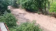 باران تابستانی مازندران را غافلگیر کرد؛ گستره سیل از زیراب تا چهاردانگه