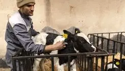 کارگرانی که شهر دوست ندارد آنها را ببیند