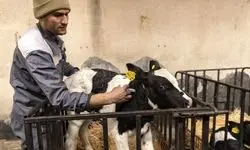 کارگرانی که شهر دوست ندارد آنها را ببیند