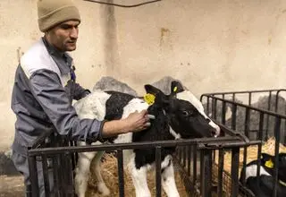 کارگرانی که شهر دوست ندارد آنها را ببیند