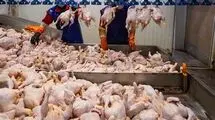  کمبود توزیع مرغ گرم برطرف شد
