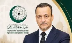 دبیرکل جدید سازمان همکاری اسلامی کیست؟