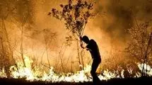جزئیات جدید از آتش سوزی منطقه حفاظت شده کوه دیل گچساران
