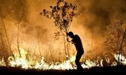 جزئیات جدید از آتش سوزی منطقه حفاظت شده کوه دیل گچساران