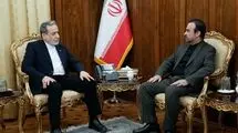 تحولات شورای حکام؛ محور دیدار عراقچی با سفیر ایران در وین