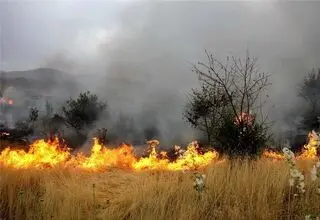 اعزام محیط‌بانان خراسان شمالی برای مهار آتش‌سوزی پارک ملی گلستان