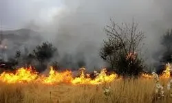 اعزام محیط‌بانان خراسان شمالی برای مهار آتش‌سوزی پارک ملی گلستان